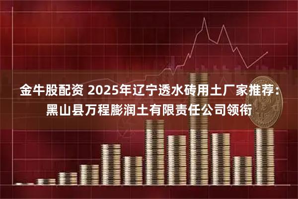 金牛股配资 2025年辽宁透水砖用土厂家推荐:黑山县万程膨润土有限责任公司领衔