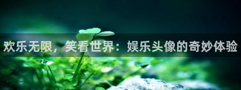 成都幸运彩电子有限公司：欢乐无限，笑看世界：娱乐头像的奇妙体验