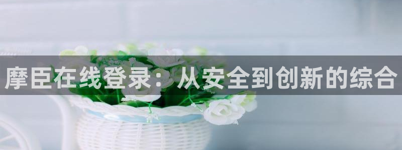 幸运彩4登录：摩臣在线登录：从安全到创新的综合