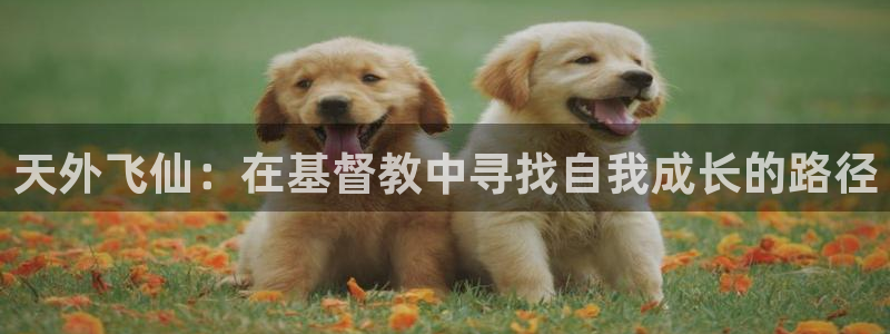 幸运彩体育凯捷平台代理：天外飞仙：在基督教中寻找自我成长的路径