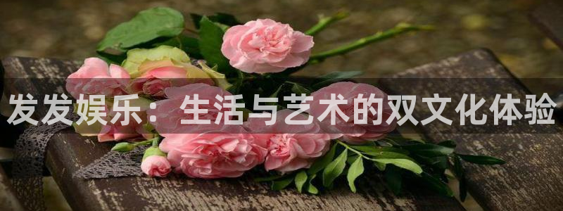 幸运彩2登录地址：发发娱乐：生活与艺术的双文化体验