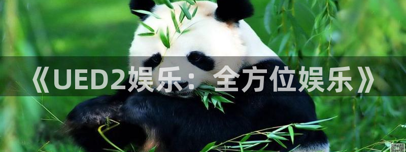 幸运彩体育代理：《UED2娱乐：全方位娱乐》