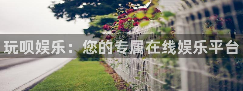 幸运彩体育官网注册：玩呗娱乐：您的专属在线娱乐平台