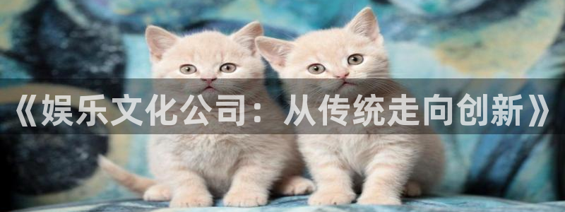 幸运彩5注册：《娱乐文化公司：从传统走向创新》