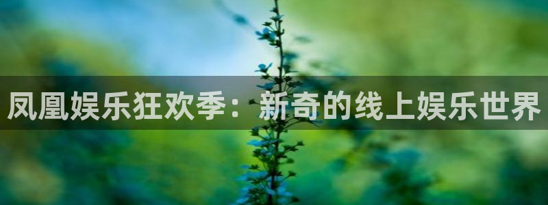 幸运彩5：凤凰娱乐狂欢季：新奇的线上娱乐世界