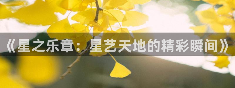 幸运彩主管：《星之乐章：星艺天地的精彩瞬间》