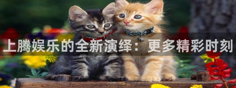 幸运彩招商：上腾娱乐的全新演绎：更多精彩时刻