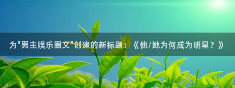上海幸运彩汽车电子有限公司：为\