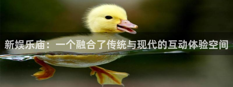 幸运彩平台招商：新娱乐庙：一个融合了传统与现代的互动体验空间