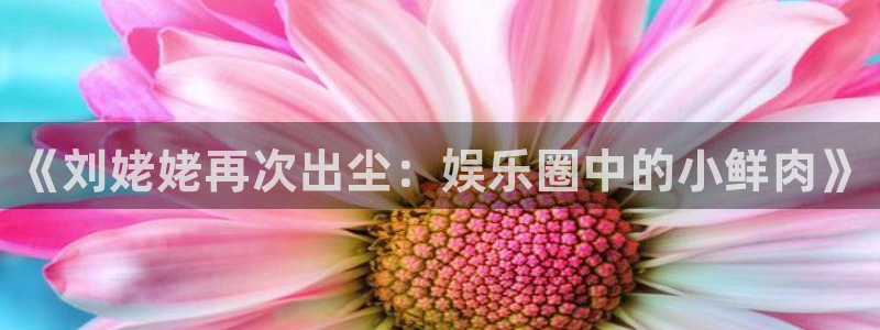 幸运彩4开户：《刘姥姥再次出尘：娱乐圈中的小鲜肉》