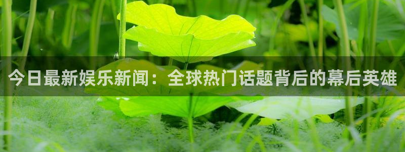 佛山市南海幸运彩机电仪器有限公司：今日最新娱乐新闻：全球热门话题背后的幕后英雄