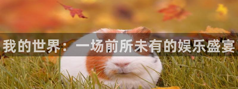 幸运彩代理：我的世界：一场前所未有的娱乐盛宴
