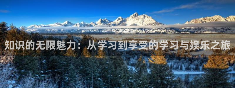 幸运彩体育2：知识的无限魅力：从学习到享受的学习与娱乐之旅