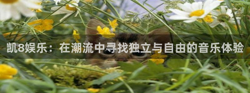 www.幸运彩体育.com：凯8娱乐：在潮流中寻找独立与自由的音乐体验