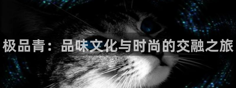 幸运彩体育3：极品青：品味文化与时尚的交融之旅