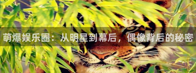 幸运彩登录注册：萌爆娱乐圈：从明星到幕后，偶像背后的秘密