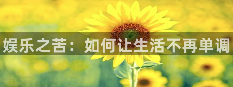 幸运彩3平台登录注册：娱乐之苦：如何让生活不再单调